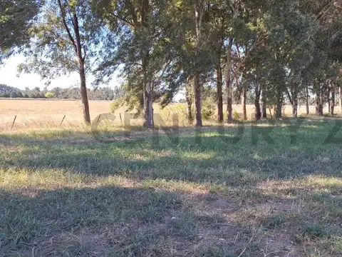 El Resero y rio lujan , Piso 0