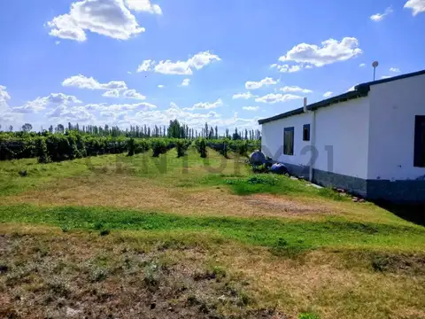 Quinta en Venta en San Rafael, USD 300.000