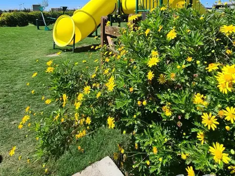 Terreno en Venta en Countries y Barrios Cerrados en San Vicente, USD 40.000