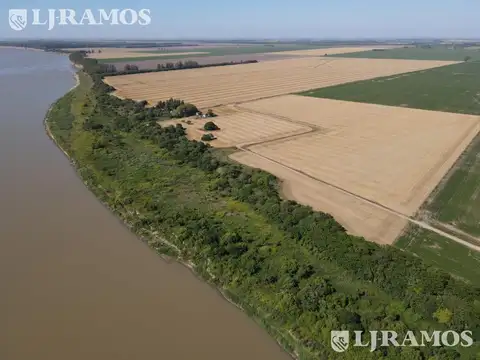 203 ha agrícolas. Timbúes, Santa Fe. Sobre hidrovía.
