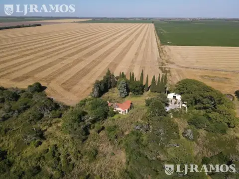 203 ha agrícolas. Timbúes, Santa Fe. Sobre hidrovía.