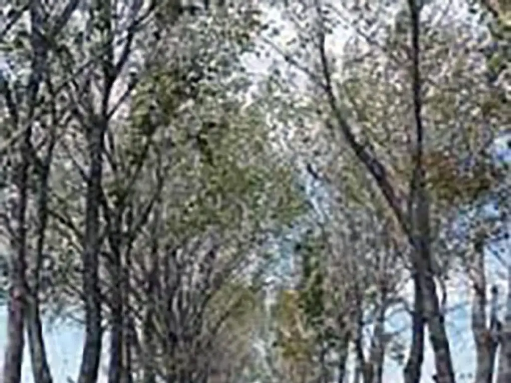 Terreno en La Alameda