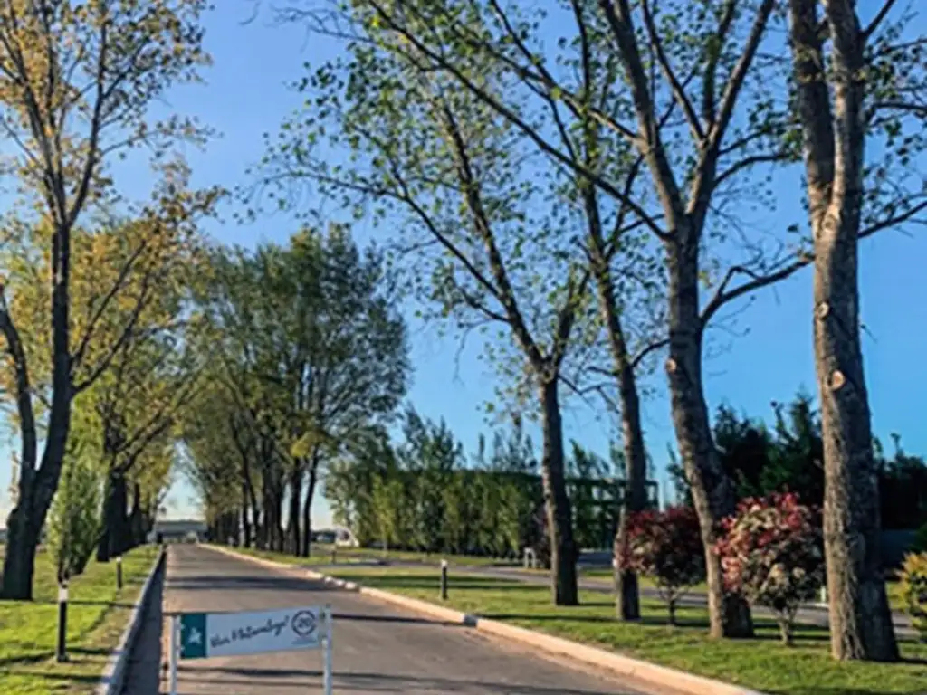 Terreno en Venta - La Alameda