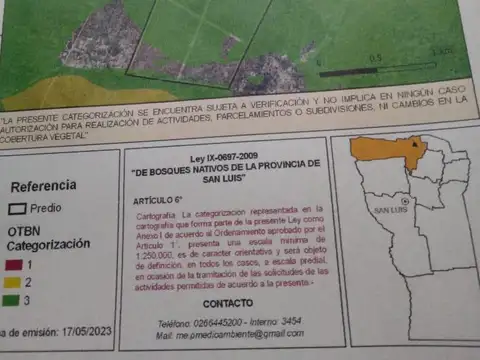 Campo - Candelaria