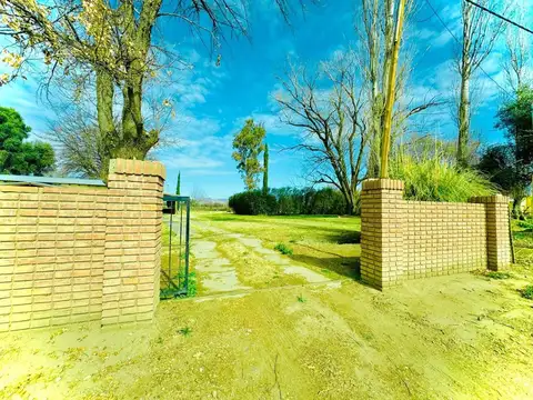VENTA CAMPO FERTIL ESTANCIA LOS ROBLES SAN RAFAEL