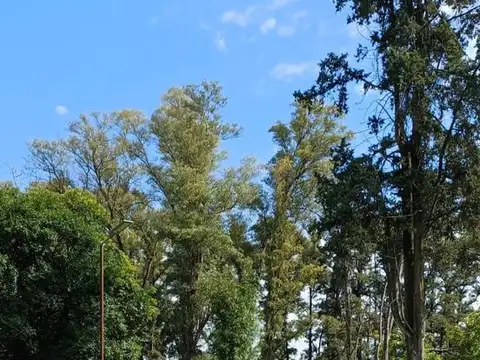Ruta 6 km. 142