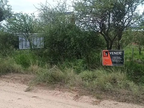 Venta lote de 1000 metros Cortaderas San Luis (La Pituca)