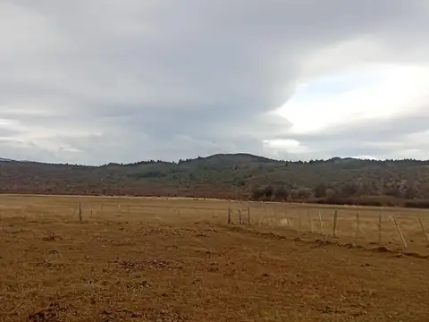 Terreno en Venta de 2500,0 m2