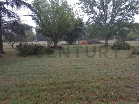 496 esquina 216 , Piso 0