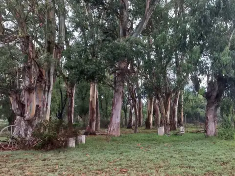 CASA QUINTA EN VENTA EN ABASTO