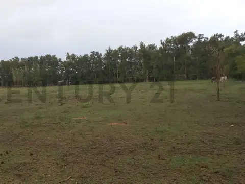 Casa en Venta 2025 años