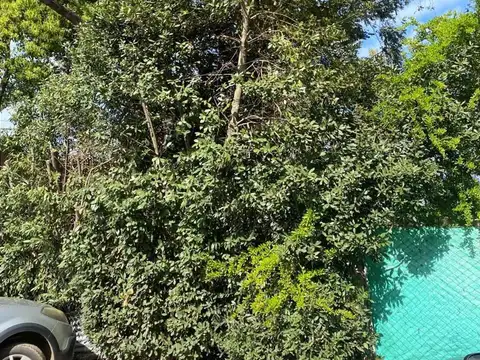 Terreno en Venta de 250,0 m2