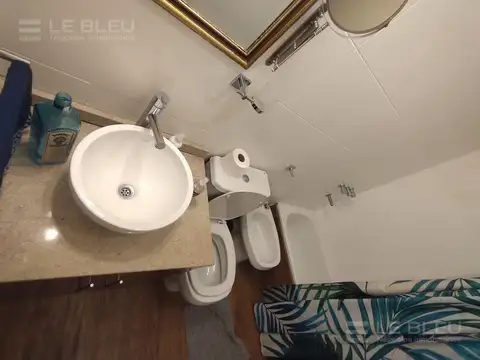 Departamento - Saavedra