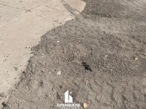 BARRIONUEVO Y PASCUAL SEGURA