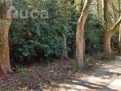 Terreno en Venta 30  mts Fondo