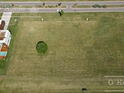 Terreno en Venta de 1000,0 m2