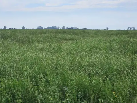 VENTA CAMPO MIXTO/SOUTOMAYOR DEP. LAS COLONIAS.