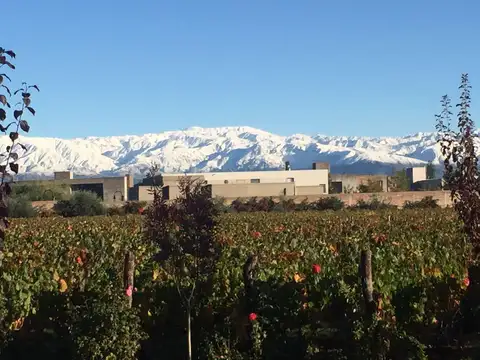 Inportante Finca Ubicada en Maipu para desarrollo inmobiliario o enoturistico