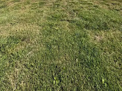 Terreno en Venta en Countries y Barrios Cerrados en San Vicente, USD 19.900