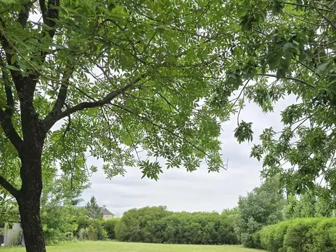 VENTA LOTE INTERNO - SANTA CATALINA, VILLANUEVA