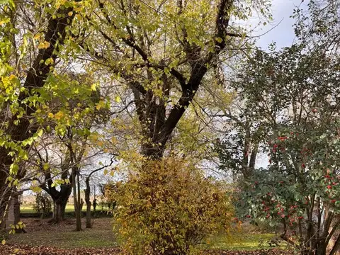 Terreno en Venta de 450,0 m2