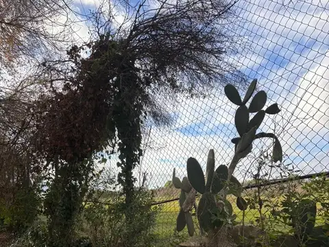 Terreno Lote  en Venta en El Bosque, Campana, G.B.A. Zona Norte