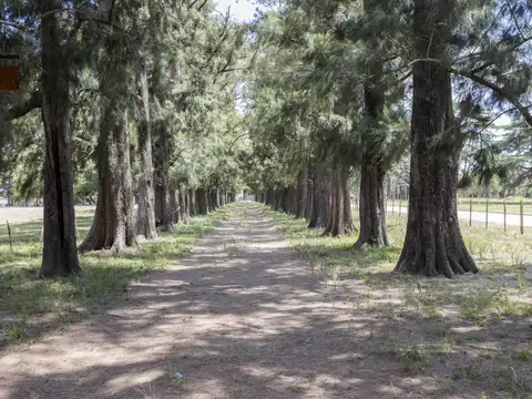 Terreno en Venta de 468,0 m2