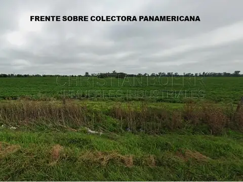 Terreno en Venta de 552220,0 m2