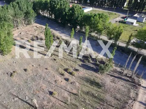 VENTA CHACRA 10,5 HECTAREAS - PLOTTIER.