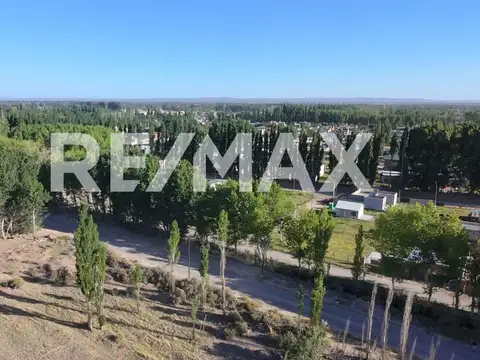 VENTA CHACRA 10,5 HECTAREAS - PLOTTIER.