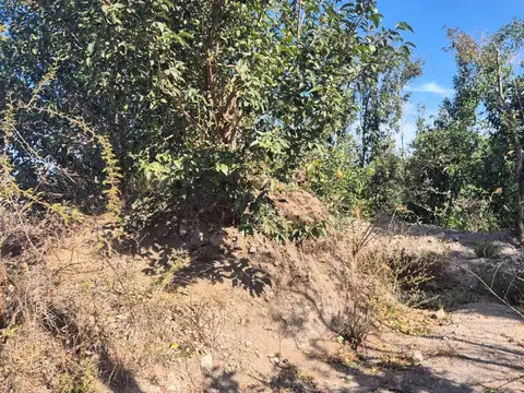 Terreno en Venta 35  mts Fondo
