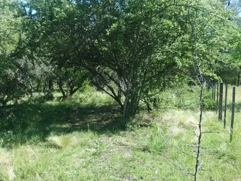 Terreno en Venta 15  mts Frente