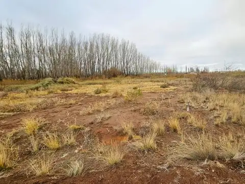 VENTA DE TERRENO de 300 m2  - LOTEO AMEDEA