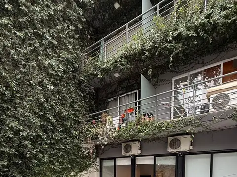 Departamento - Flores