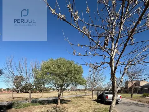 Terreno en Venta 50  mts Fondo