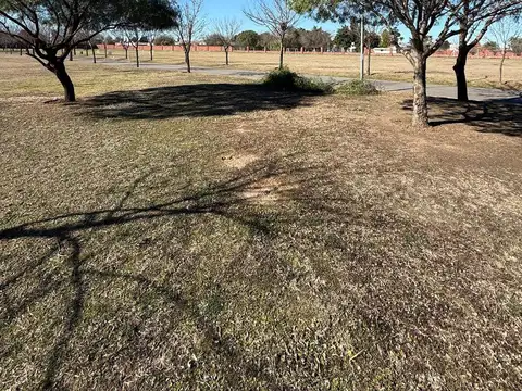 Mauricio Revigliono al 100