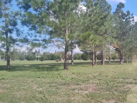 Terreno en Venta de 1008,0 m2