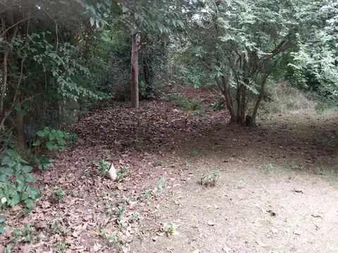 Terreno en Venta en Manuel B Gonnet, USD 60.000