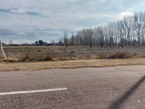Lotes en mendoza, general alvear, bowen