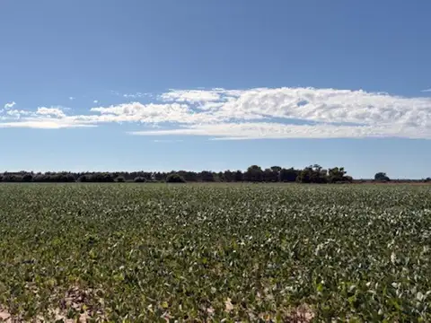 Campo en Venta en Ramallo, Partido de Ramallo