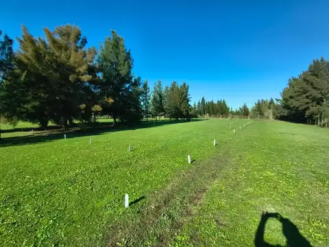 Terreno en venta en Arana