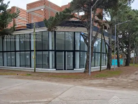 Locales comerciales  en alquiler - juntos  o individuales  en  Av. San Bernardo y calle 20