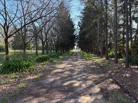 CAMPO EN PANAMERICANA ZARATE 100