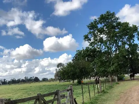 VENTA 3 HA EN RANCHOS, GENERAL PAZ