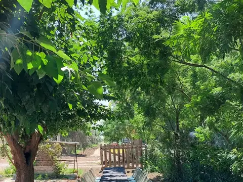 La Legua 100