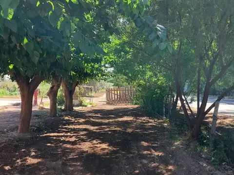 FINCA. VENTA. JUNIN. 40 Ha 9.311,33 m2