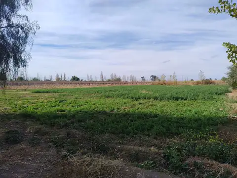 TERRENO DE 2 HAS EN GENERAL ACHA Y CALLE 14.POCITO
