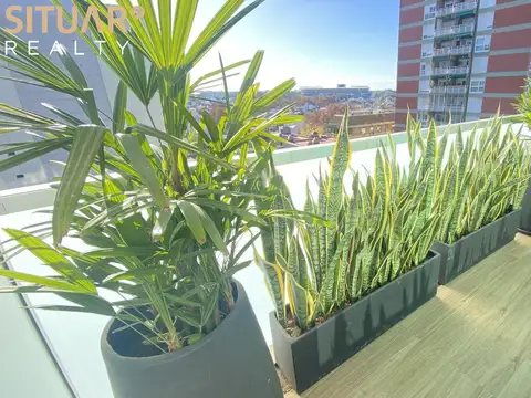 alquiler monoambiente  belgrano apto profesional