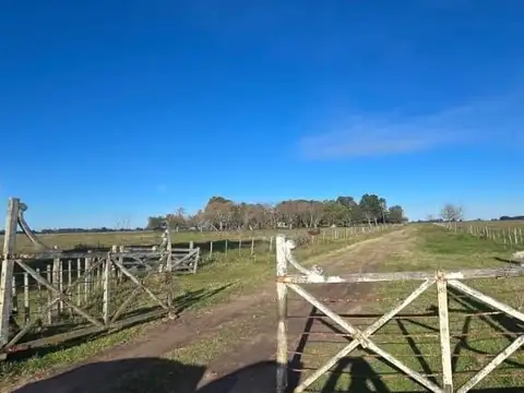 VENTA CAMPO MIXTO DE 502 HECTÁREAS CON CASCO DE ESTANCIA - BRANDSEN