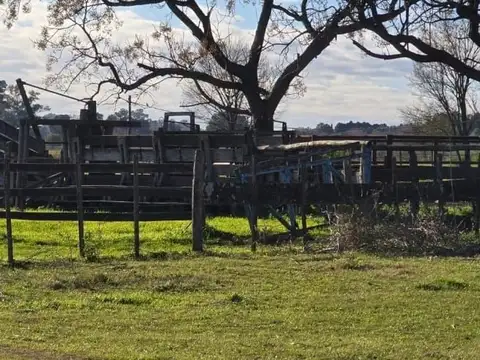 VENTA CAMPO MIXTO DE 502 HECTÁREAS CON CASCO DE ESTANCIA - BRANDSEN